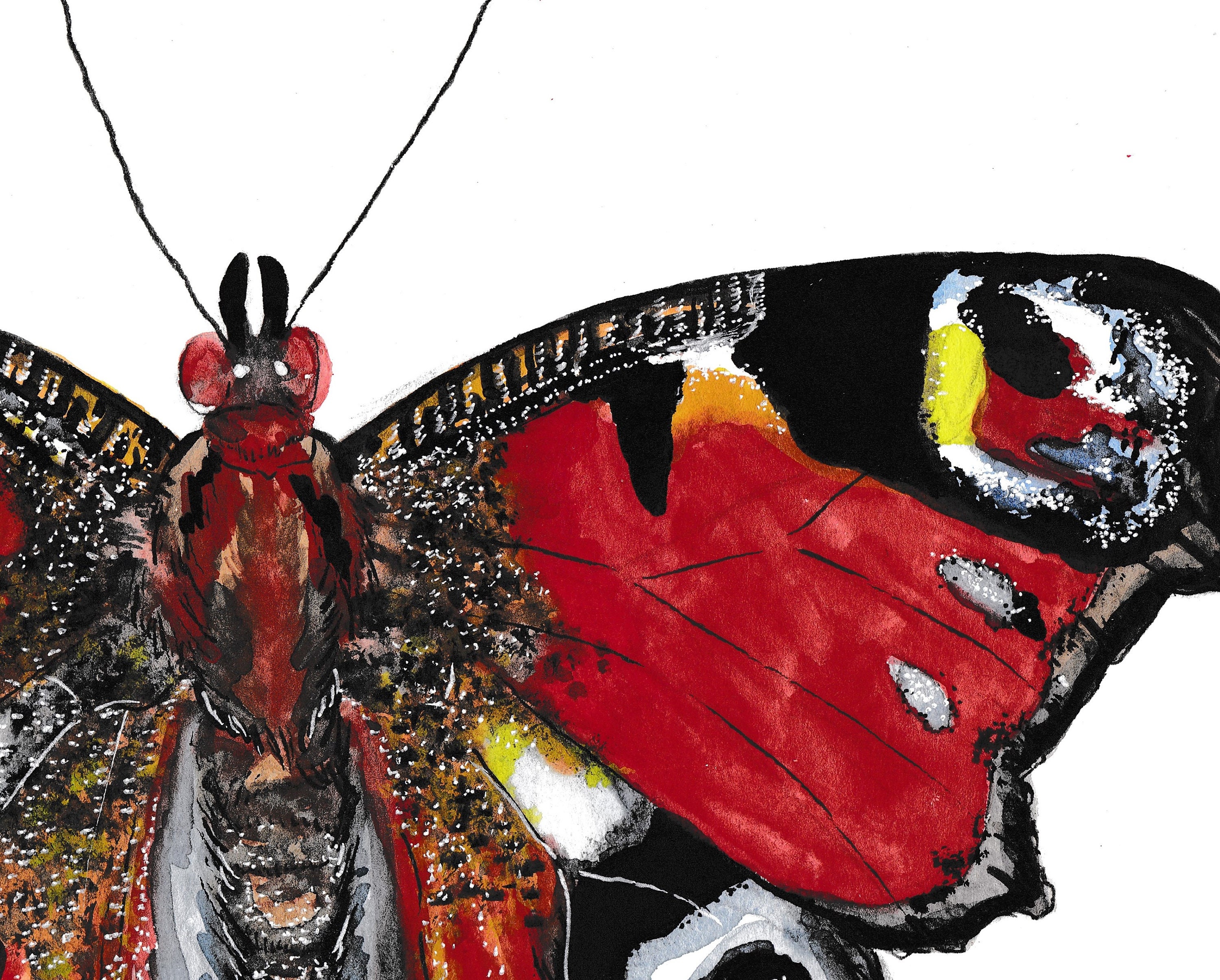 孔雀蝶の水彩画 - Etsy 日本, image size:3000x2410