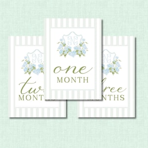 Blue & Green Watercolor Custom Crest Baby Milestone Cards