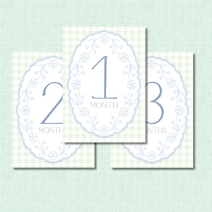 Blue & Green Gingham Baby Milestone Cards