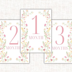 Floral Baby Girl Monthly Milestone Cards | Pink Flower Baby Milestone Signs | Baby Girl Photo Prop | Printable Monthly Card Set