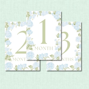Watercolor Hydrangea Blue & Green Baby Milestone Cards