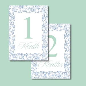 Blue Toile Wavy Baby Milestone Cards