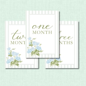 Watercolor Hydrangea Blue & Sage Stripes Baby Milestone Cards