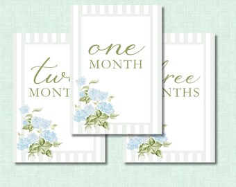 Watercolor Hydrangea Baby Milestone Cards Set | Monthly Birth Announcement Photos | Blue & Sage Stripes Nursery Decor | 12 Month Cards