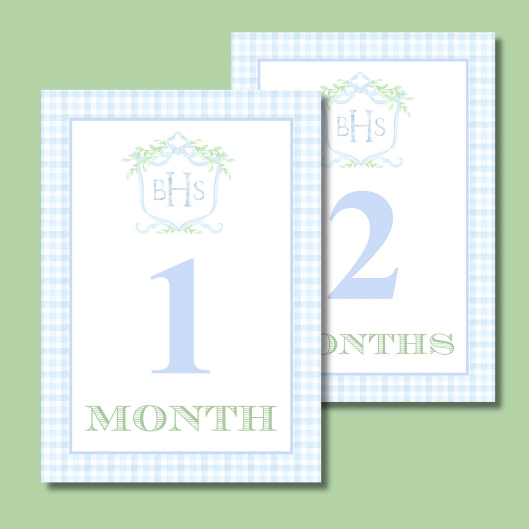 Blue Gingham Custom Crest Baby Milestone Cards - Etsy