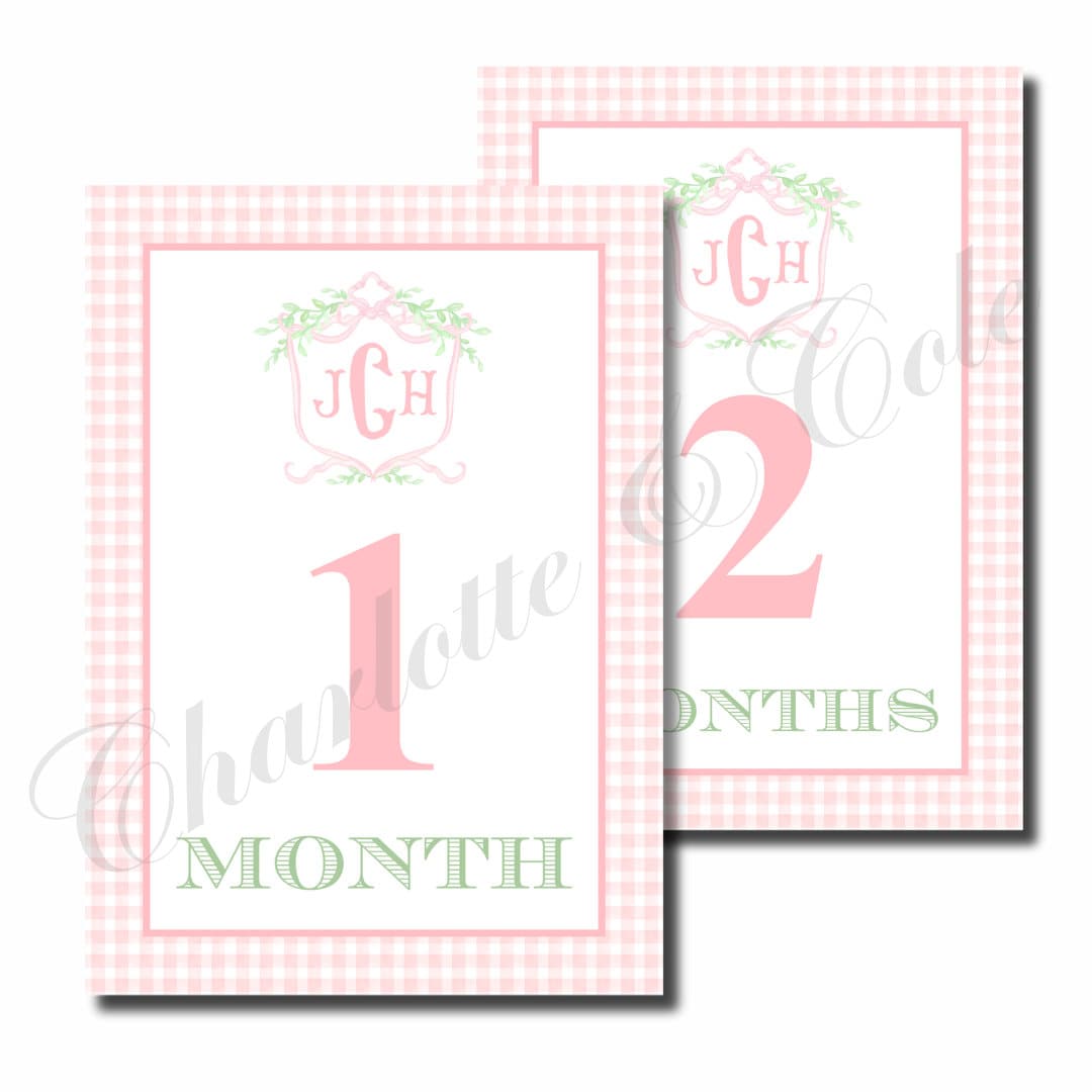 PINK Custom Crest Baby Milestone Cards - Etsy