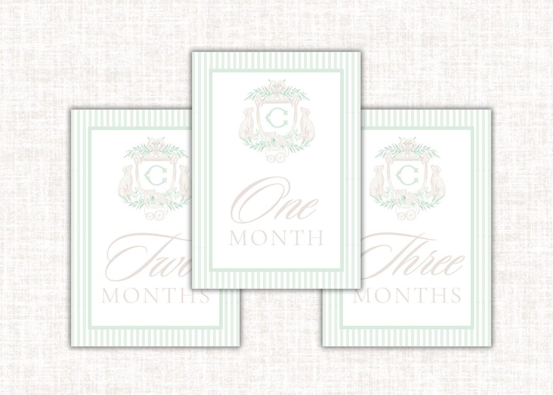 Baby Sage Puppy Crest Monthly Milestone Cards Boy – Blue Green Floral ...