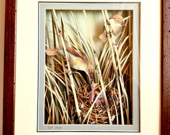 Vintage Yun Shan 3D Paper Sculpture Shadow Box Art -Birds Feeding Nest in Reeds 14” x 12”