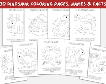 Página para colorear de dinosaurios, hojas de trabajo de dinosaurios, página para colorear imprimible, páginas para colorear de dinosaurios, páginas para colorear para niños, descarga digital, PDF