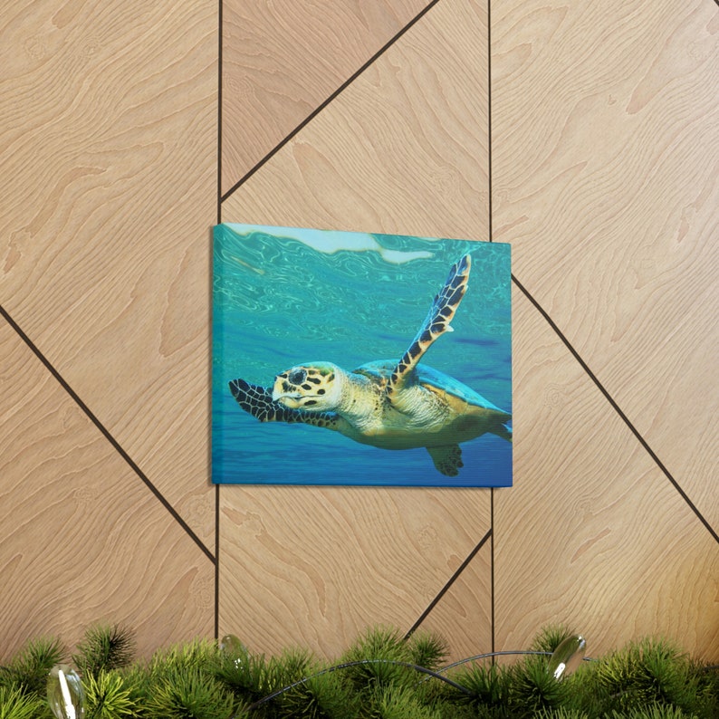 Turtle Wall Art, Turtle in Water Wall Art, Turtle Swimming Etsy