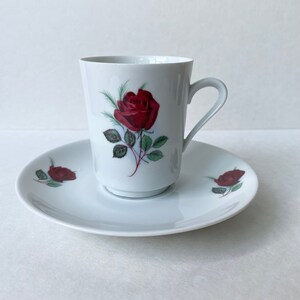 Bavaria tazza e piattino - stampa rose