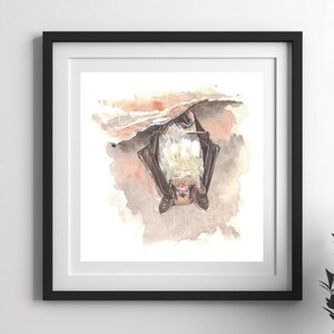 Bat print from my original watercolour painting, Bat wall decor, Animal art print, Bat watercolour print, Home decor, Wall decor Bat gift