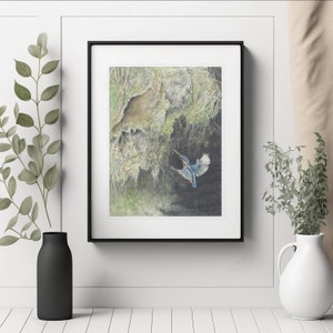 Kingfisher print from my original pencil and watercolour painting, Flying Kingfisher, Kingfisher wall art, Kingfisher flight art, Bird print
