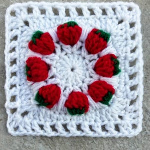 Mini Strawberries Granny Square: Strawberry Crochet Pattern, Valentines Crochet PDF Pattern, Afghan Block, Red And Green Thrown, strawberry girl
retro granny square
berry color palette
strawberry love
Fruit granny square