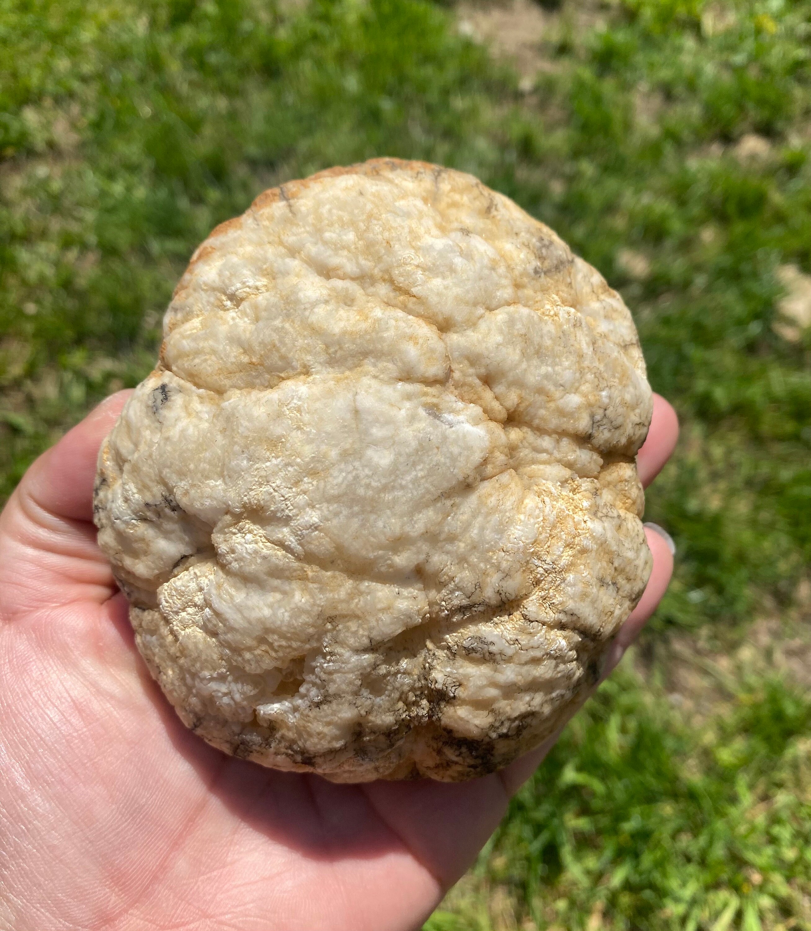 Geode Rocks Raw Raw Geode Crystal Cluster | Raw Geode Specimen - Etsy