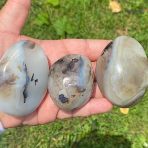 Dendritic Agate Palm Stones