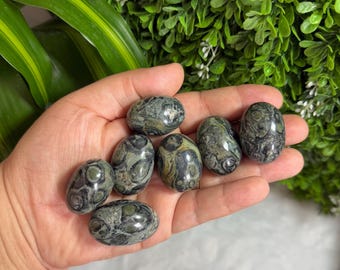 Kambaba Jasper Tumbled Stones  | Kambaba Jasper Stones | Kambaba Jasper | Green Kambaba Jasper Tumbled Stones