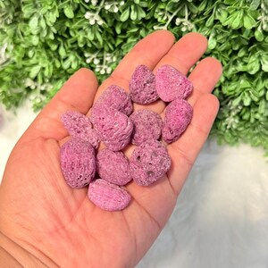 May include: A handful of small, textured, pink stones. The stones are held in an open hand against a backdrop of green foliage. The stones have a rough, porous appearance and vary slightly in shape and size.