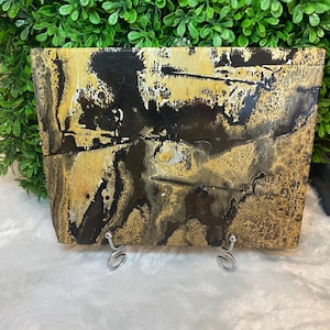 Picture Jasper Slab | Picture Jasper Slice