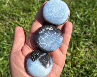 Owyhee Blue Opal Crystals | Owyhee Blue Opal Cookie Palms | Owyhee Blue Opal Palm Stones | Owyhee Blue Opal Crystal Palm Stones