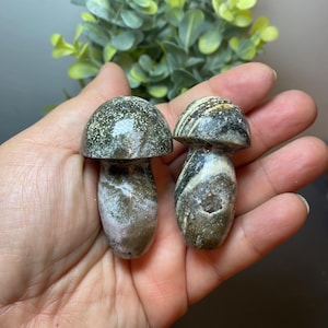Ocean Jasper Mushroom Carving | Ocean Jasper Druzy Mushroom Carving