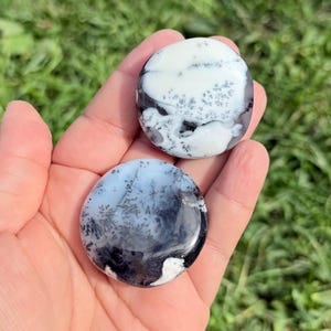 May include: Two polished, oval-shaped stones with dendritic patterns. The top stone is white with black and gray markings, while the bottom stone is light blue with similar patterns. The stones are held in a hand against a green background.