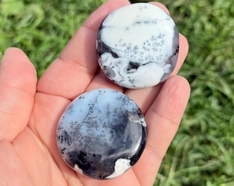 May include: Two polished, oval-shaped stones with dendritic patterns. The top stone is white with black and gray markings, while the bottom stone is light blue with similar patterns. The stones are held in a hand against a green background.