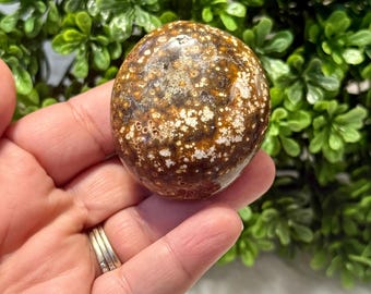 Orbicular Ocean Jasper Palm Stone | Orbicular Ocean Jasper Crystal Palm Stone | Ocean Jasper Palm Stone  | Ocean Jasper Crystal Stone