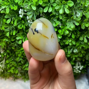 Dendritic Agate Palmstone | Dendritic Stone | Agate Stone