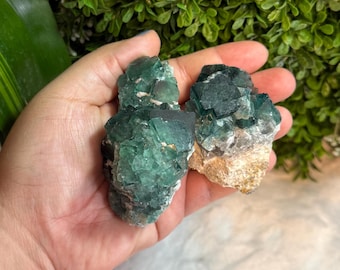Groen kubisch fluorietmonster | Ruw fluorietcluster | (Jij kiest)