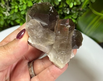Cristal de quartz fumé | Spécimen de quartz fumé | Spécimen de cristal de quartz fumé | Cristal de quartz fumé brut | Spécimen de quartz fumé brut