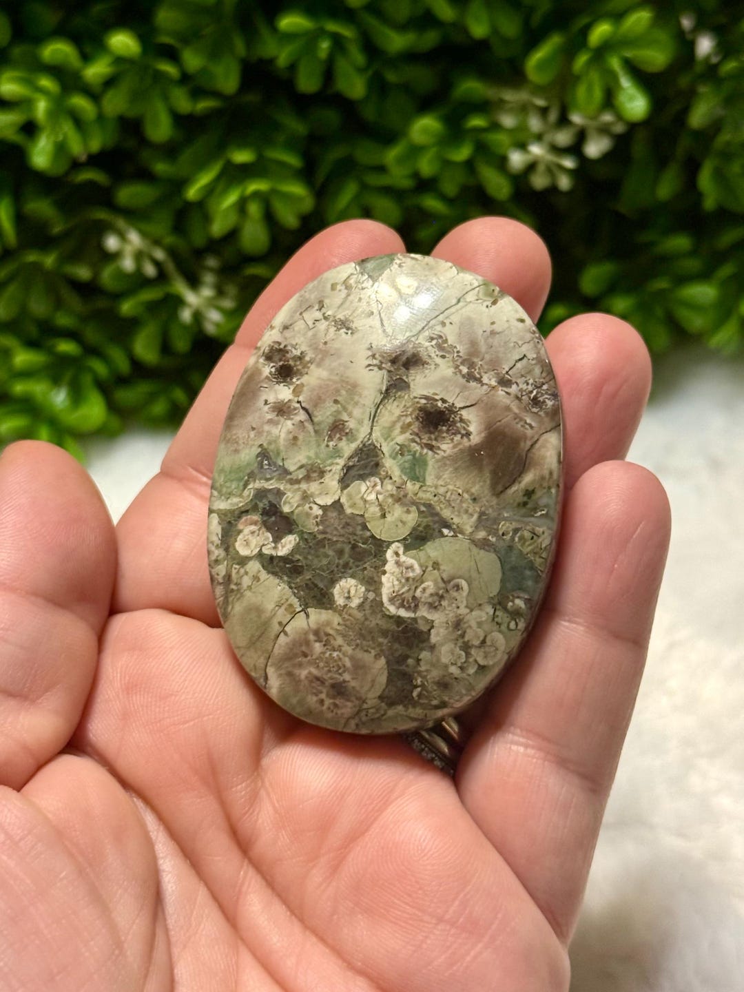Russian Flower Jasper Palm Stone | Flower Jasper | Flower Rhyolite Palm ...