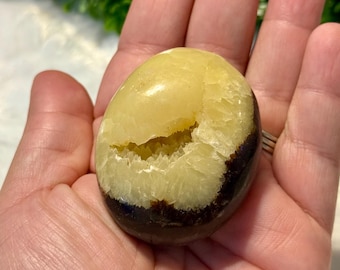 Septarian Dragon Palm Stone | Septarian Dragon Egg | Septarian Dragon Stone | Septarian Dragon Crystal | Septarian Dragon Egg Crystal Palm