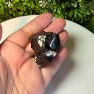 Raw Elite Shungite Specimen | Shungite Stone | Crystal Shungite