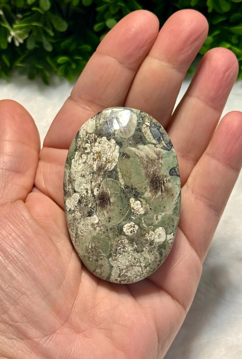 Russian Flower Jasper Palm Stone | Flower Jasper | Flower Rhyolite Palm ...