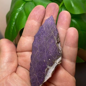 Raw Purpurite Specimen | Purpurite Specimen