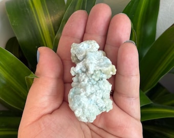 Raw Blue Aragonite Specimens