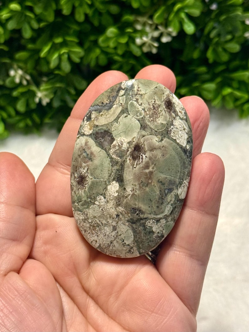 Russian Flower Jasper Palm Stone | Flower Jasper | Flower Rhyolite Palm ...