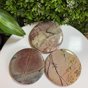 Picture Jasper Slab Set | Picture Jasper Slice Set | Picture Jasper Coaster Set | Picture Jasper (set of 3)