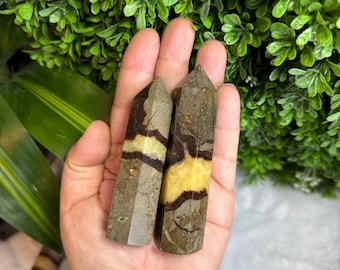 Septarian Dragon Points (You pick)