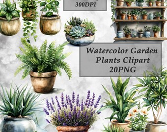 Watercolor Garden Plants Clipart – Indoor Houseplants PNG – Botanical Greenery Set – Commercial Use