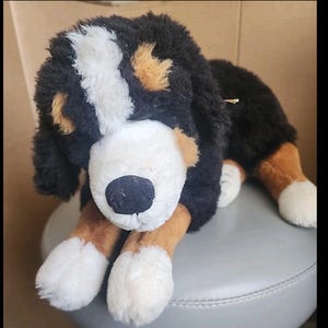 steiff dog