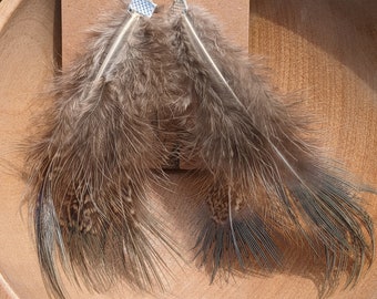 Boho Long Feather Earrings