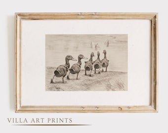 Vintage Duck Print, Nursery Duck Print, Animal Pencil Sketch, Duckling Print, Vintage animal drawing, Neutral Nursery Wall Art, PRINTABLE