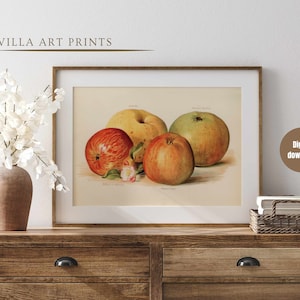 Rustic apple farmhouse kitchen painting, Vintage country cottage still life  oil painting, Vintage summer still life print, Digital download