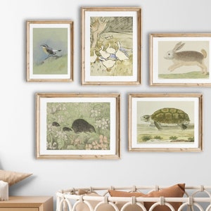 Vintage Nursery Art Print Set  Neutral Green Nursery Décor  Nursery Wall Art  Cottage Core Nursery  Vintage Animal Prints   DIGITAL DOWNLOAD