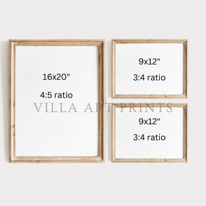 May include: Three framed prints with white backgrounds and light brown wooden frames. The largest frame is 16x20 inches with a 4:5 ratio. Two smaller frames are 9x12 inches with a 3:4 ratio. The text "VILLA ART PRINTS" is visible.