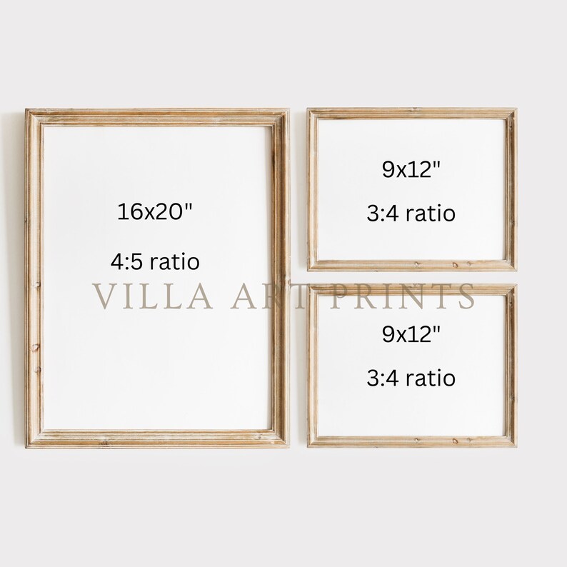 May include: Three framed prints with white backgrounds and light brown wooden frames. The largest frame is 16x20 inches with a 4:5 ratio. Two smaller frames are 9x12 inches with a 3:4 ratio. The text "VILLA ART PRINTS" is visible.