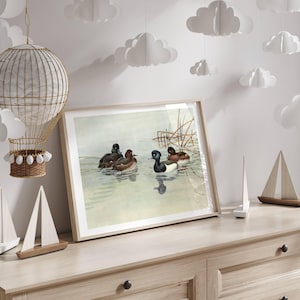 May include: A framed print of a vintage illustration of four ducks swimming in a lake. The ducks are brown and black with white markings. The background is a watercolor wash of blue and green.