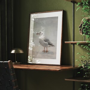 May include: A framed print of a white seagull with a gray back standing on a beach. The print is in a brown frame and is hanging on a wall.